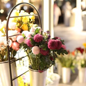 الأناقة الصيفية